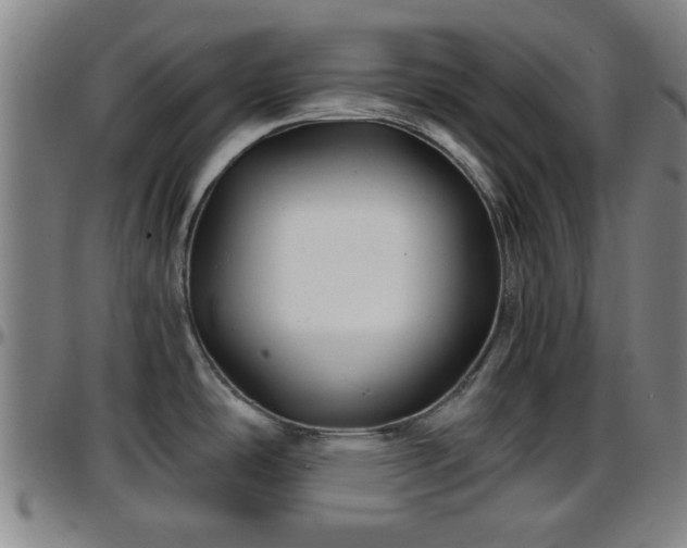 X0000096381486200801311248