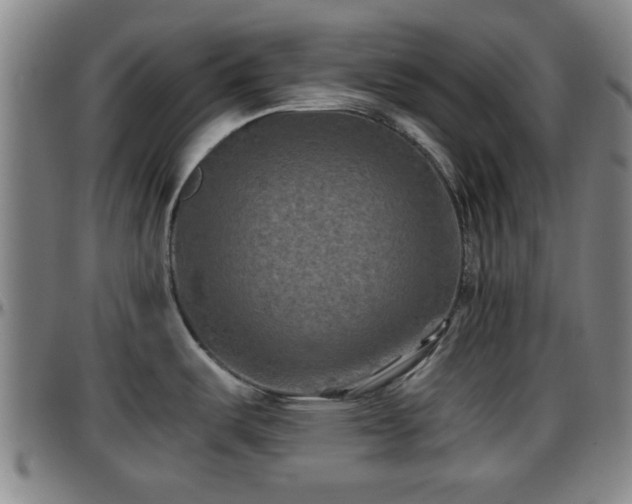 X0000096381487200801311248