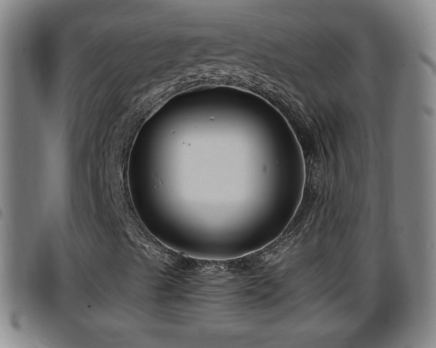 X0000096381489200801311248