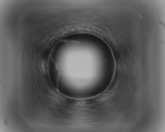 X0000096381490200801311248