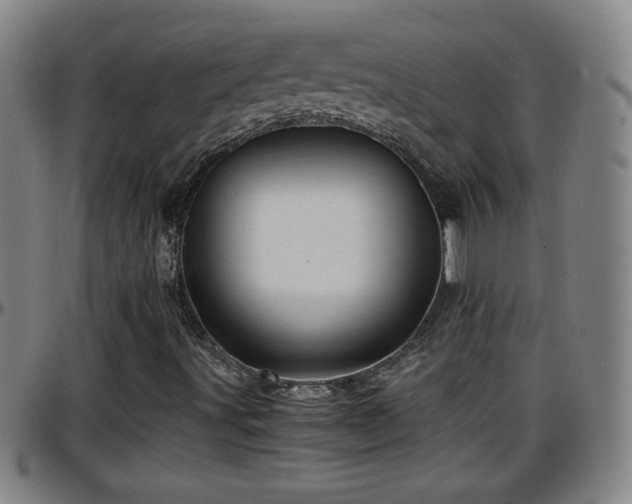 X0000096381491200801311248