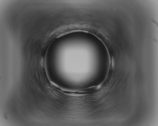 X0000096381492200801311248
