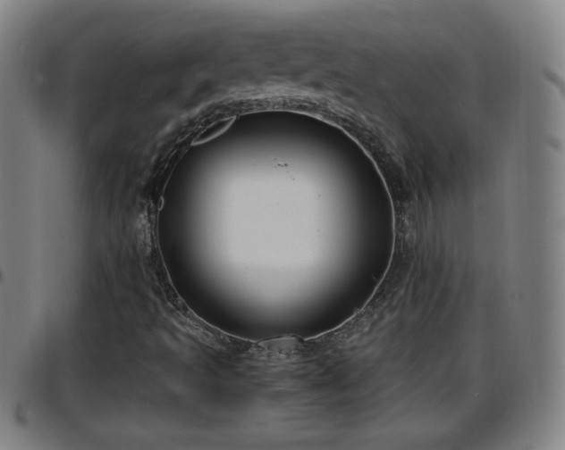 X0000096381493200801311248