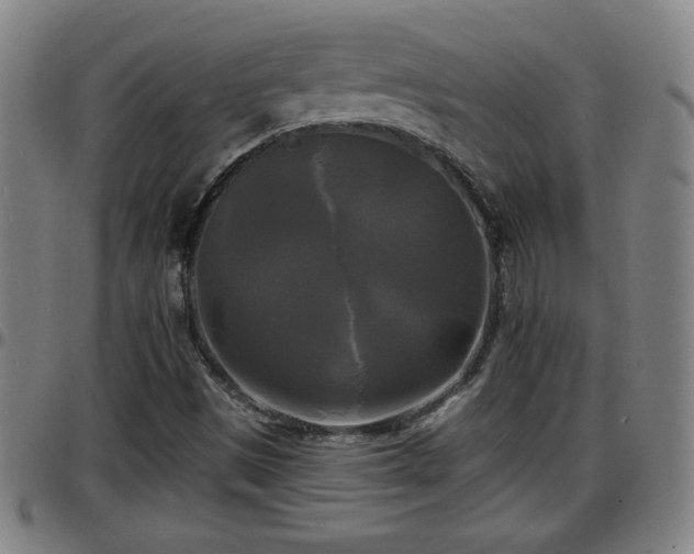 X0000096381497200801311248