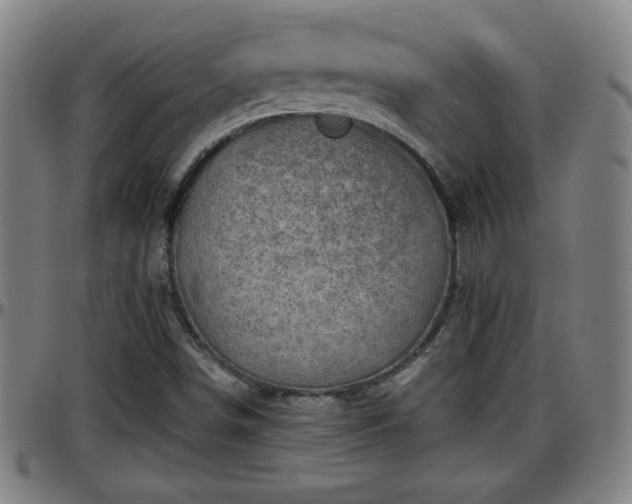 X0000096381498200801311248