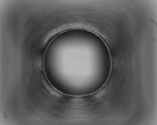 X0000096381499200801311248
