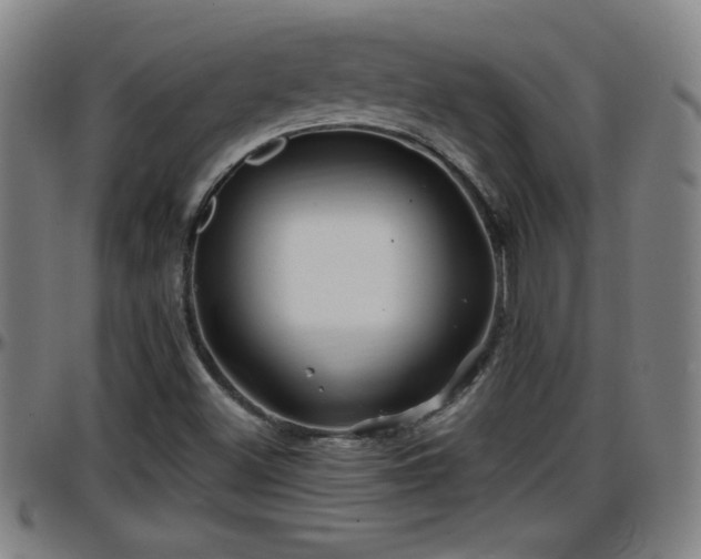 X0000096381500200801311248