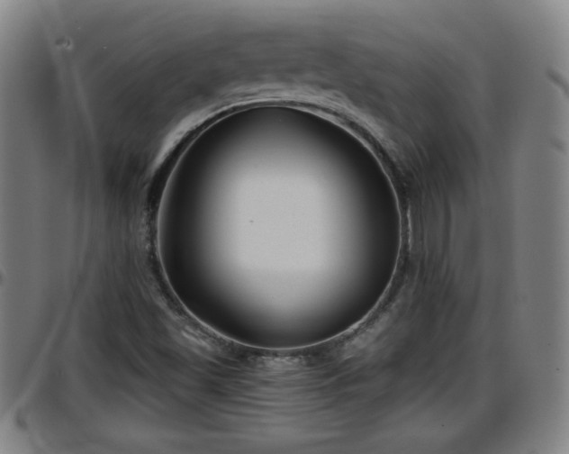 X0000096381501200801311248