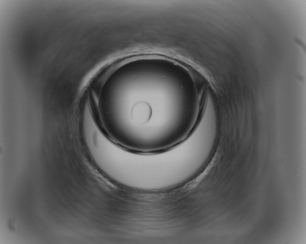 X0000096381502200801311248