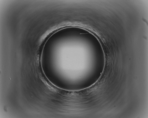 X0000096381503200801311248