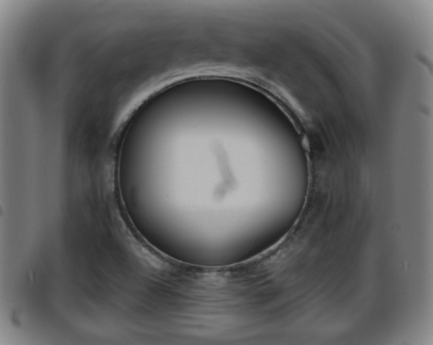 X0000096381504200801311248
