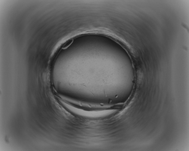 X0000096381506200801311248