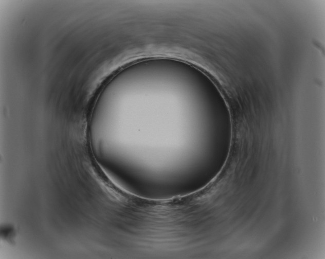 X0000096381507200801311248