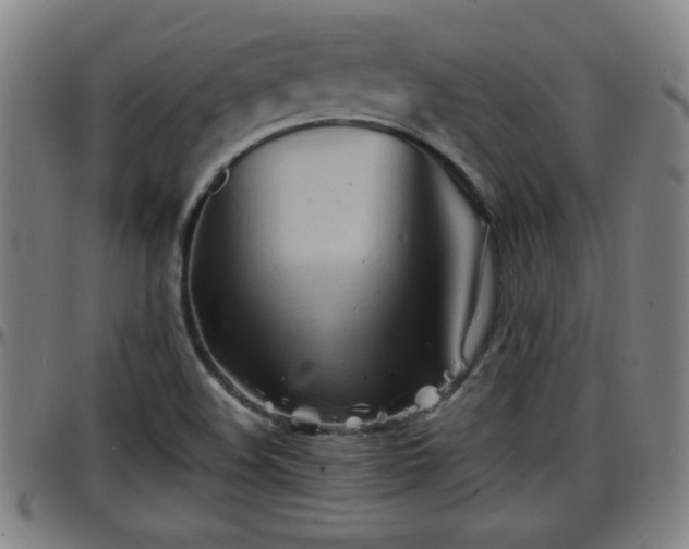 X0000096381508200801311248
