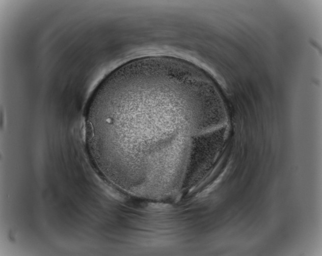 X0000096381509200801311248