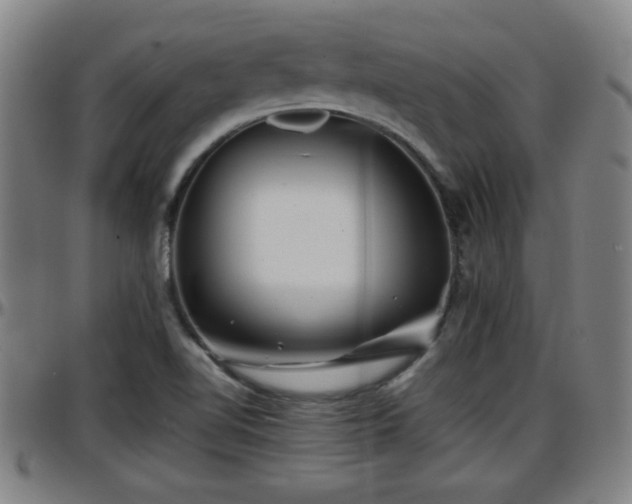 X0000096381510200801311248