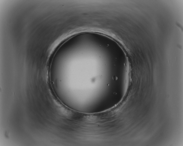 X0000096381511200801311248