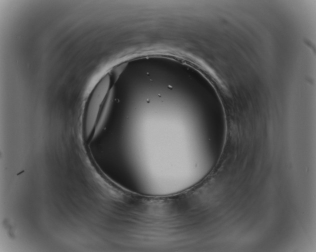X0000096381512200801311248