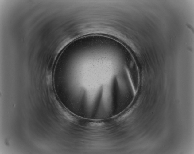 X0000096381513200801311248