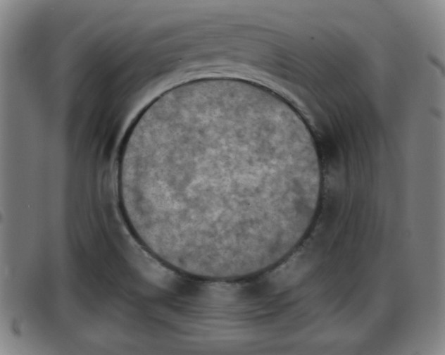 X0000096381514200801311248