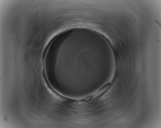 X0000096381515200801311248