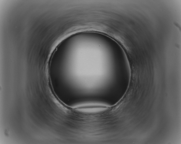 X0000096381516200801311248