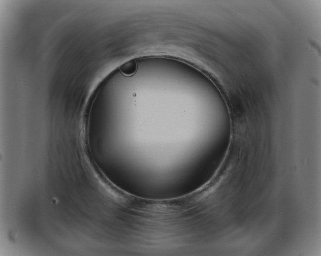 X0000096381517200801311248