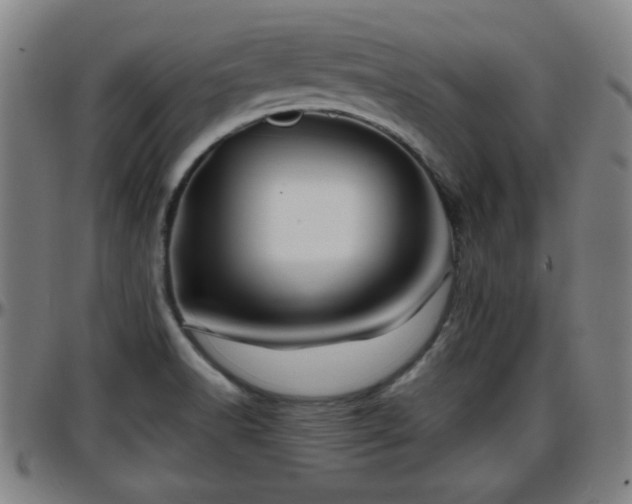 X0000096381518200801311248