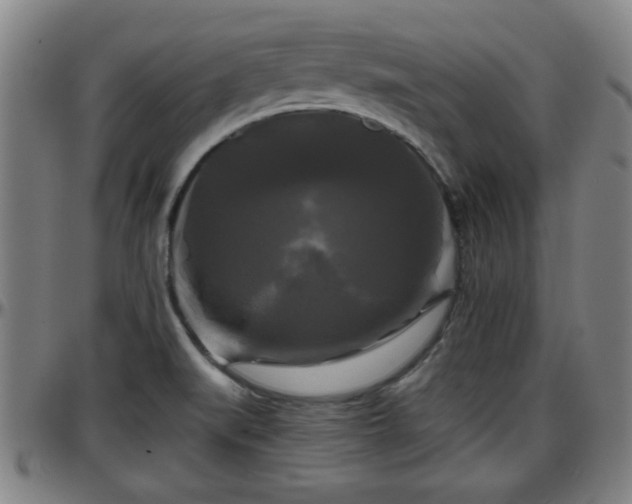 X0000096381519200801311248