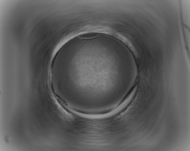 X0000096381520200801311248