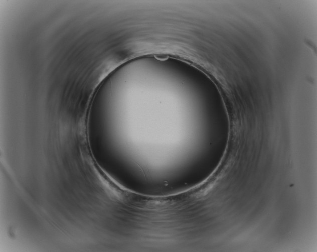 X0000096381521200801311248