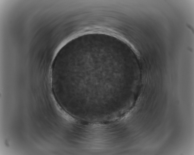 X0000096381522200801311248
