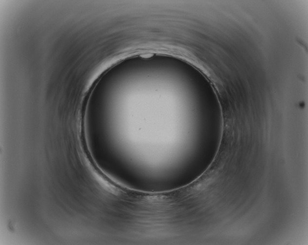 X0000096381523200801311248