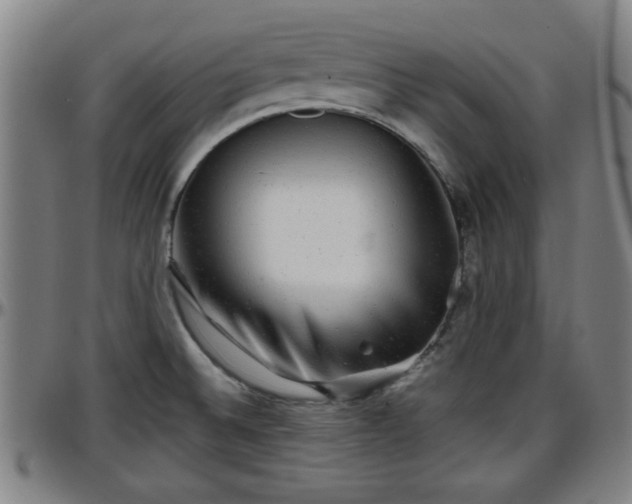X0000096381524200801311248