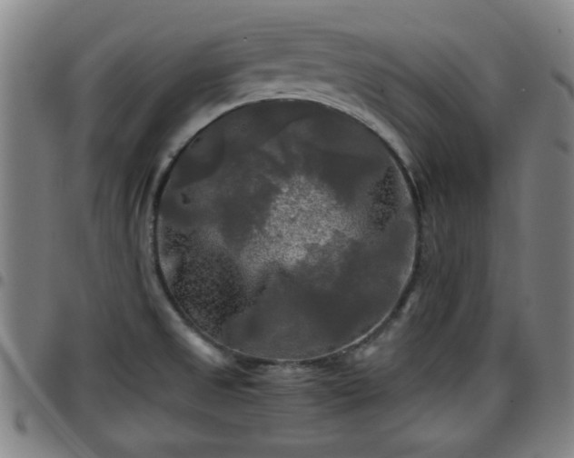 X0000096381525200801311248