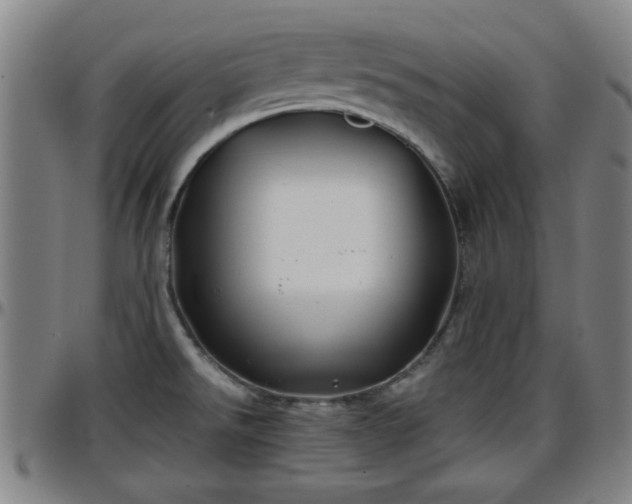X0000096381526200801311248