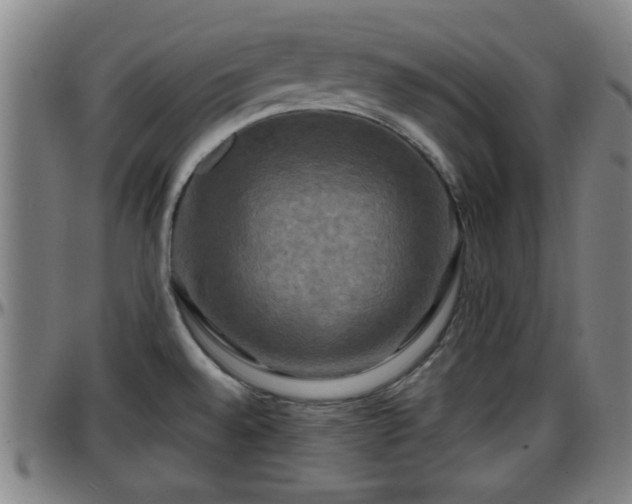 X0000096381528200801311248