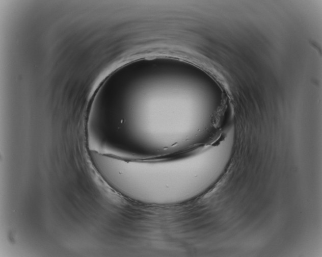 X0000096381530200801311248