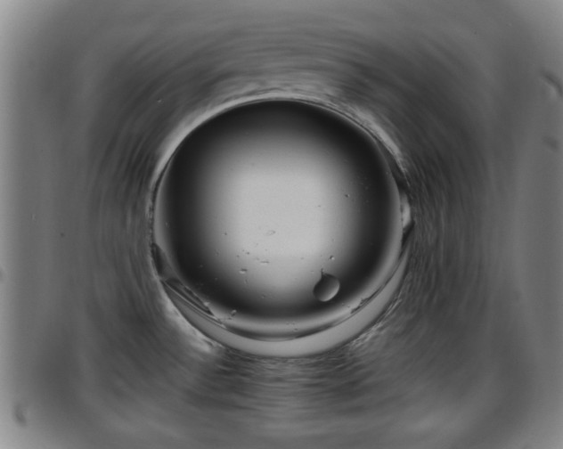 X0000096381532200801311248