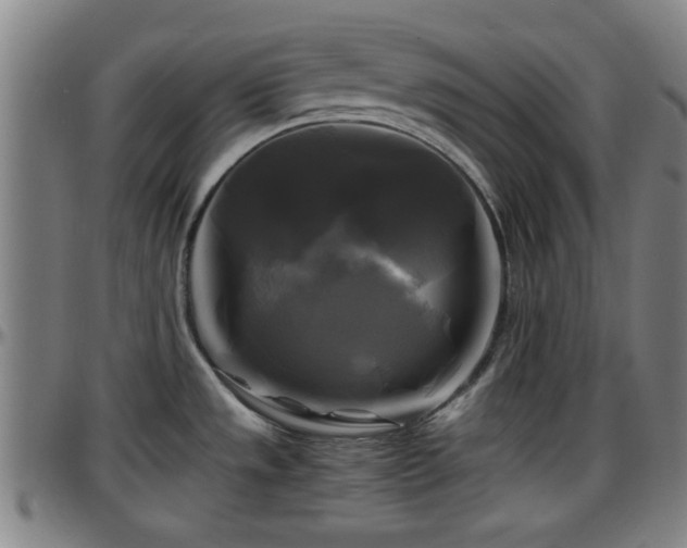 X0000096381533200801311248