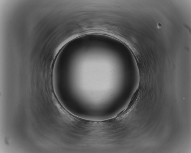 X0000096381534200801311248