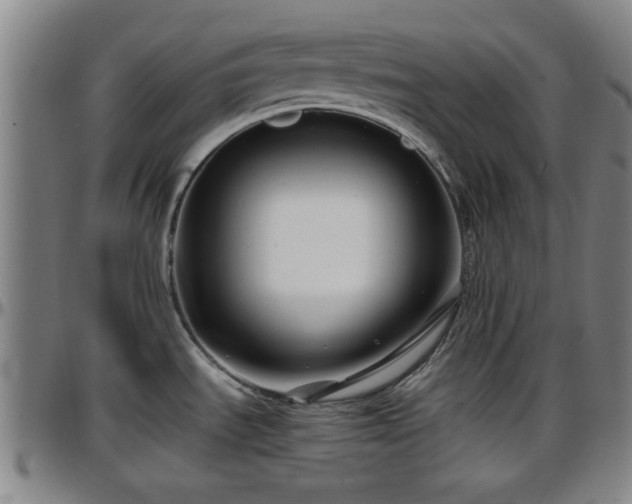 X0000096381535200801311248