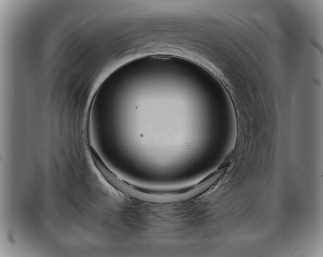 X0000096381536200801311248