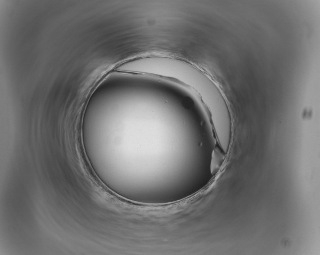 X0000096380001200802071524