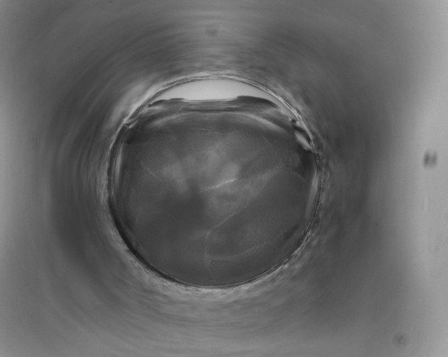 X0000096380002200802071524