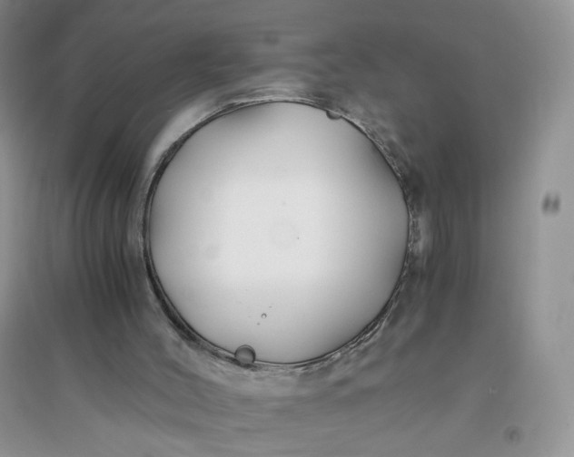 X0000096380004200802071524