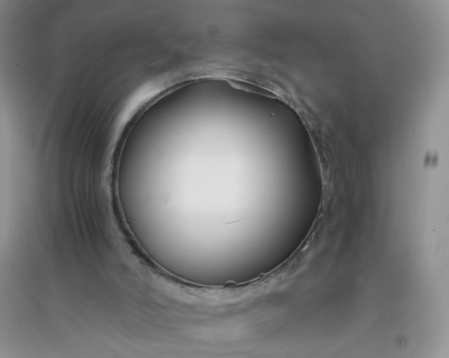 X0000096380006200802071524