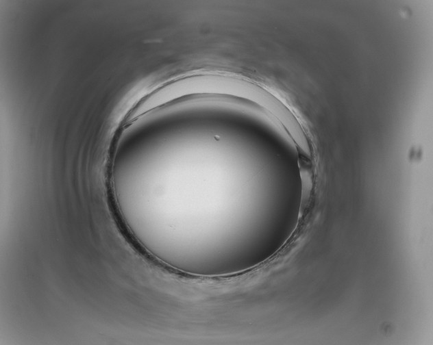 X0000096380007200802071524