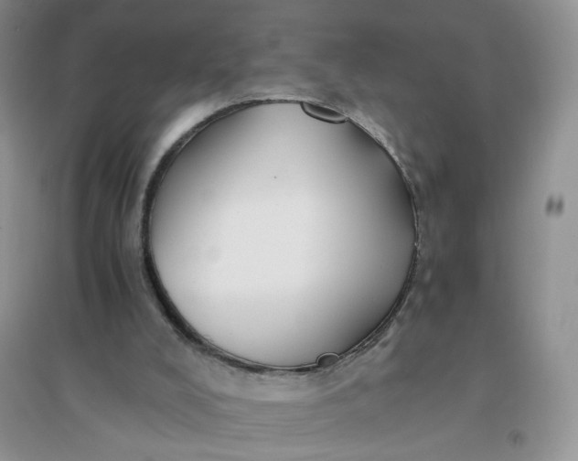 X0000096380008200802071524