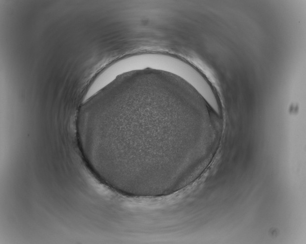 X0000096380009200802071524